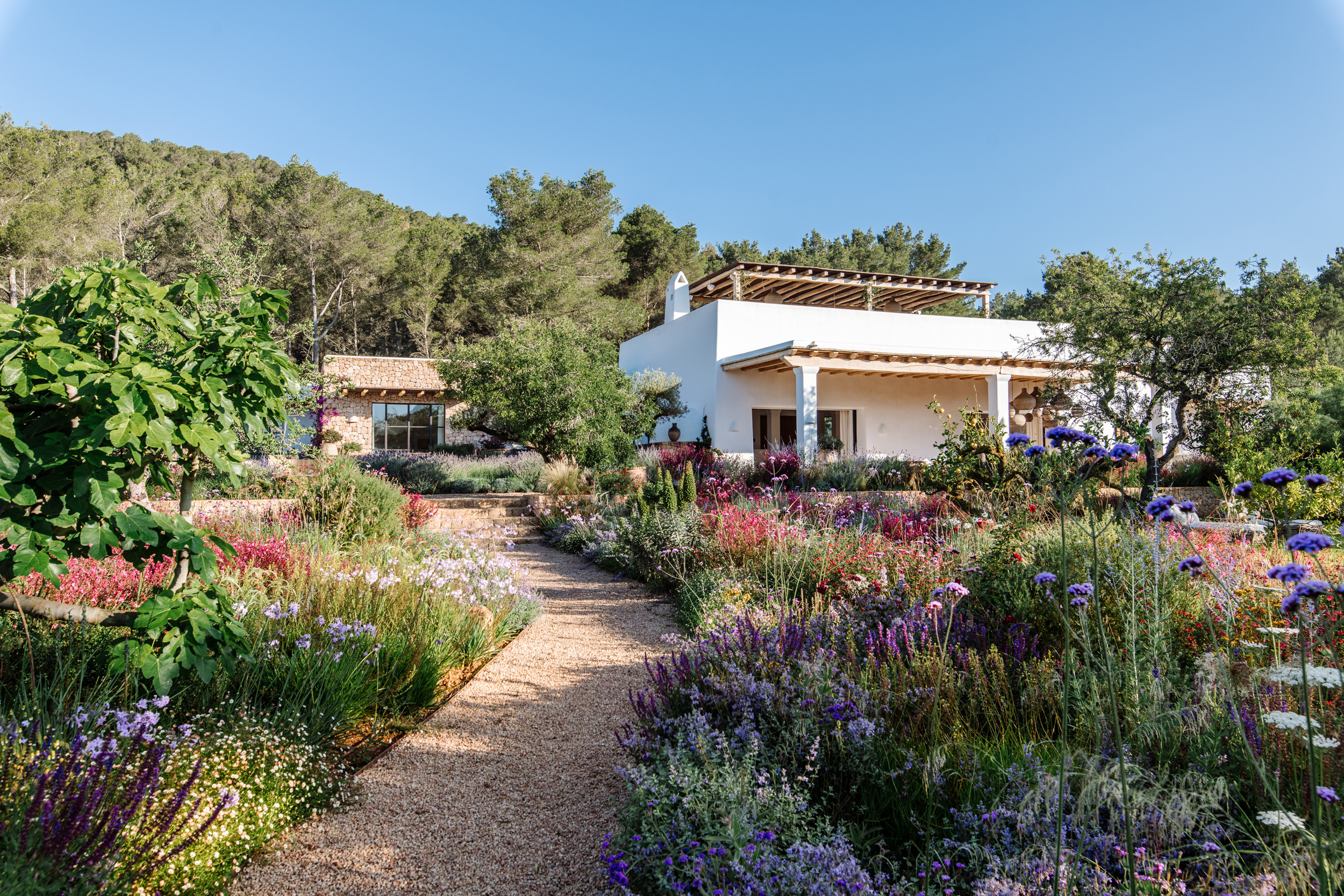 Luxury villa with private setting