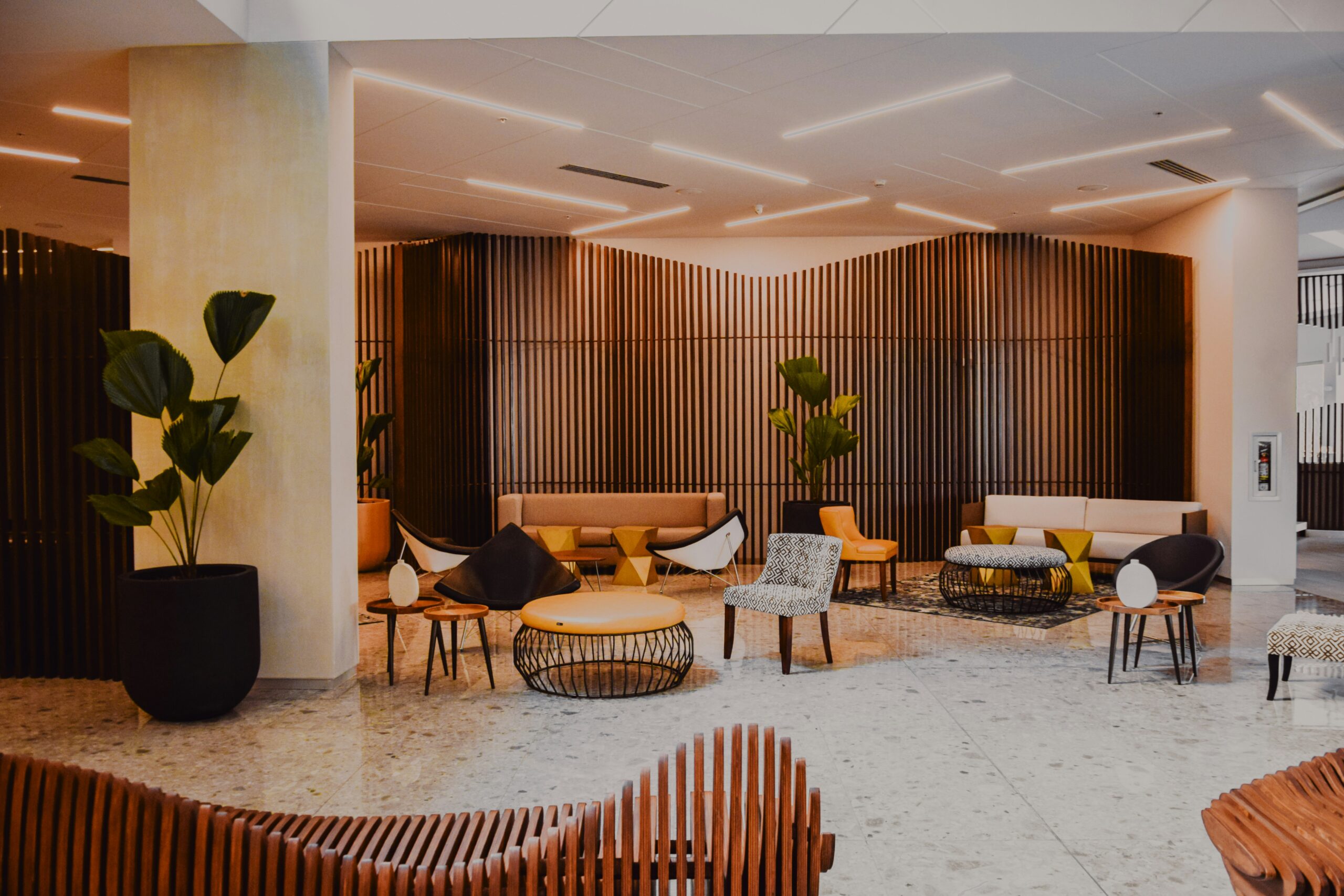 Elegant luxury interior