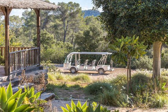 Lost Paradise Ibiza garden swing